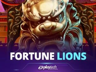 Fortune Lions (1) game cover