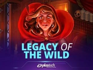 Legacy Of The Wild game cover